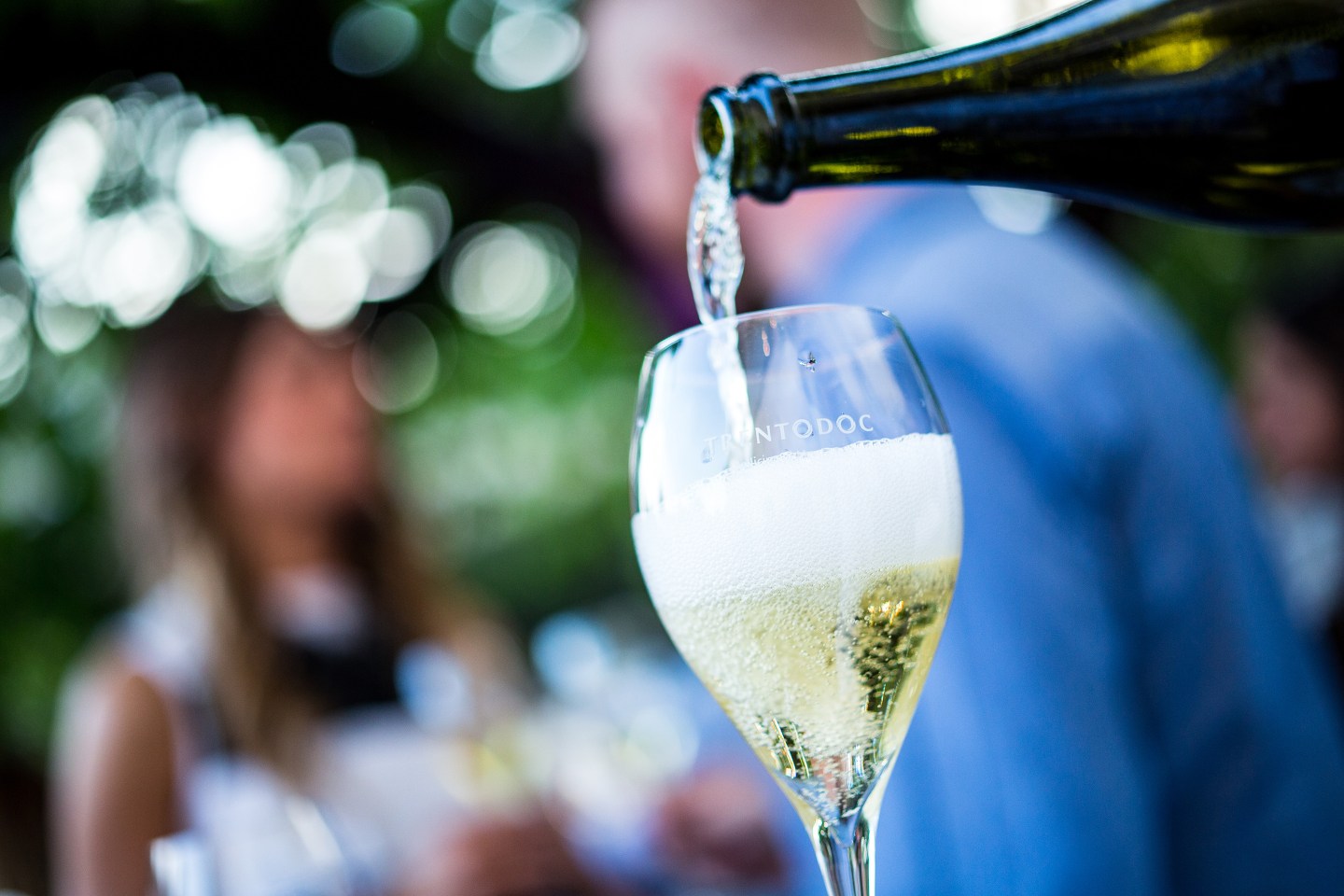 Planning Your Visit to Clarksburg CA Wineries