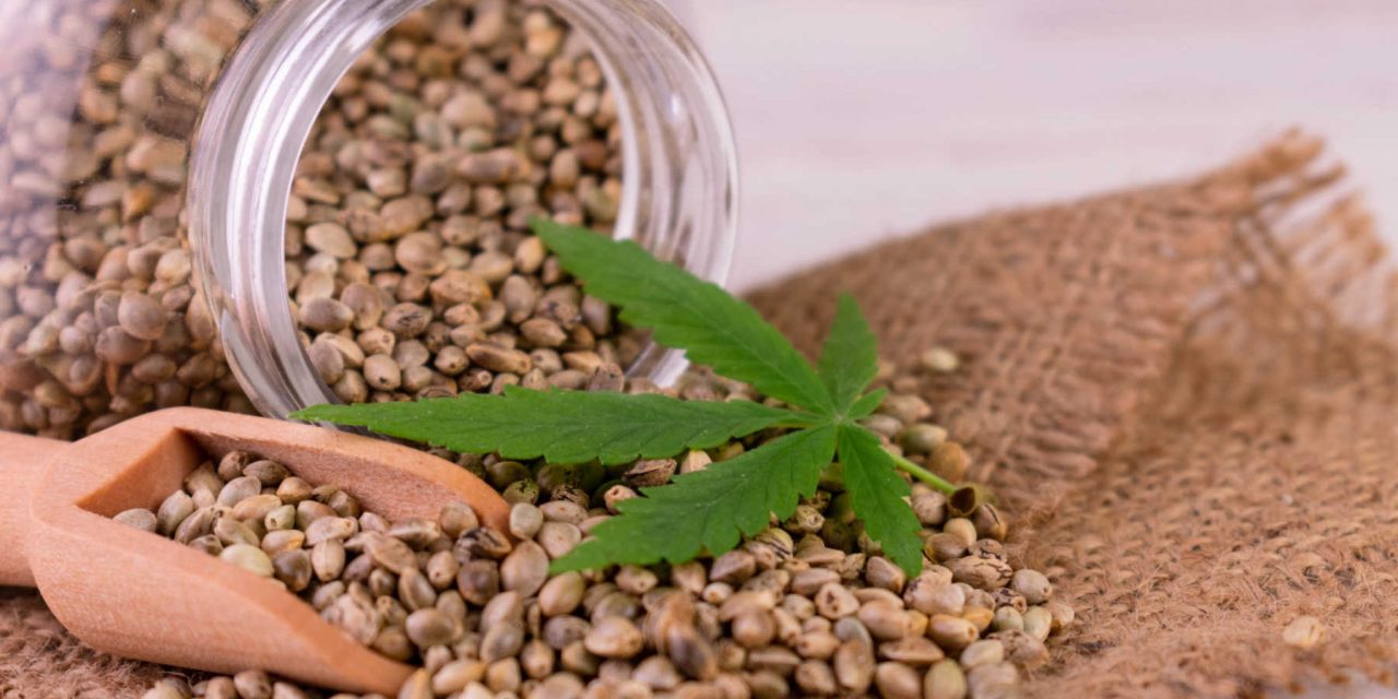 Asociacion Cannabis Madrid – Explore Asociacion Cannabis Madrid | Clubs Cannabis Madrid