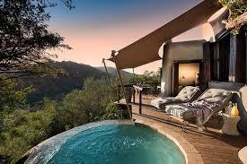 Private South African Safari Tours Tailored for You