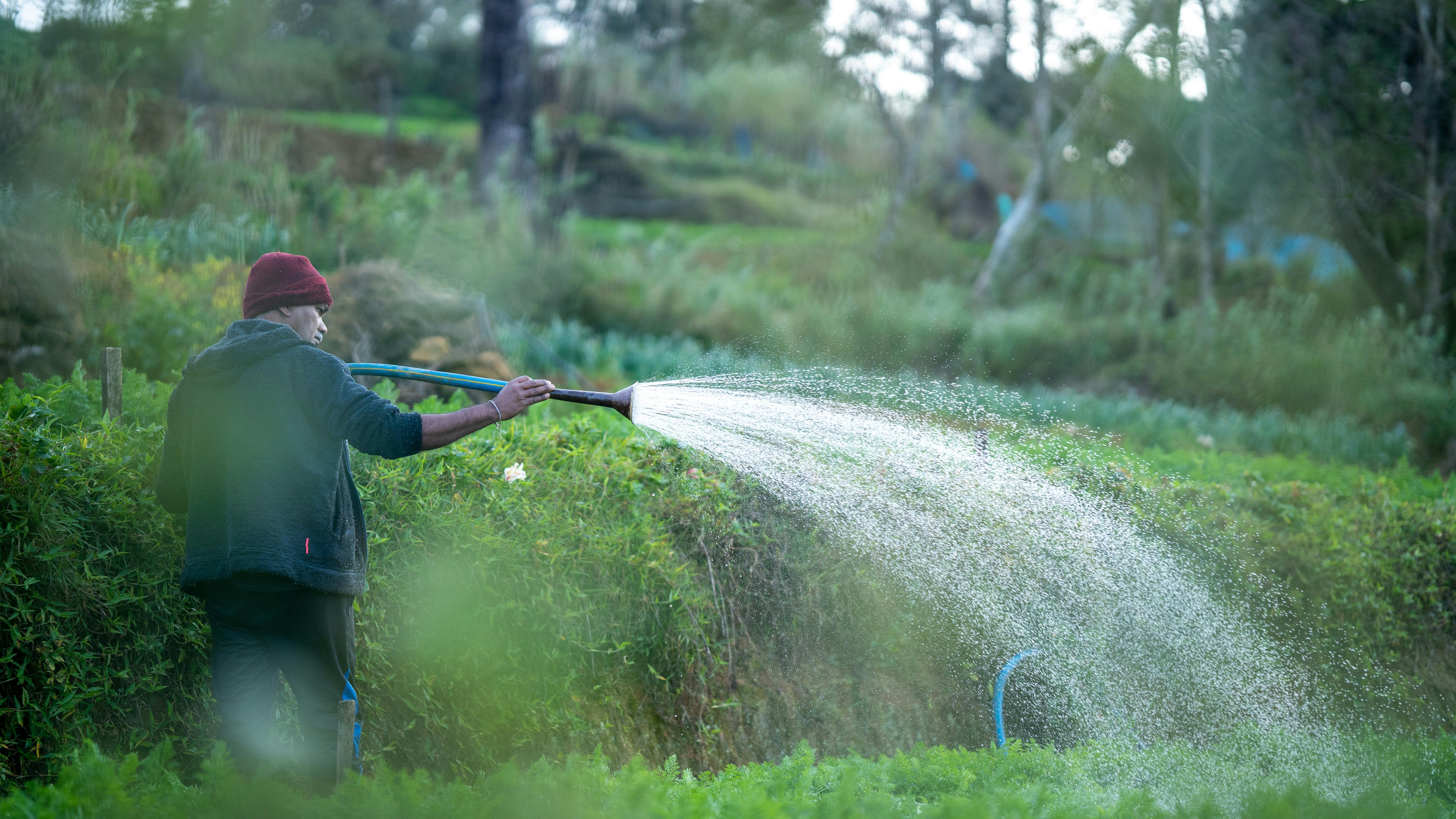 EXPERT PROFESSIONAL IRRIGATION SERVICES IN HALTOM CITY, TX