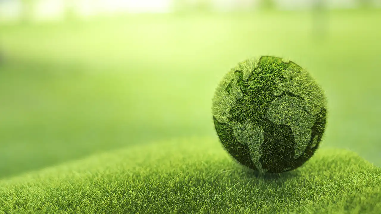 Sustainable Ingredients, Ethical Choices