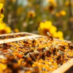 Las colmenas de plástico muestran una estructura robusta en un apiario con abejas activas.