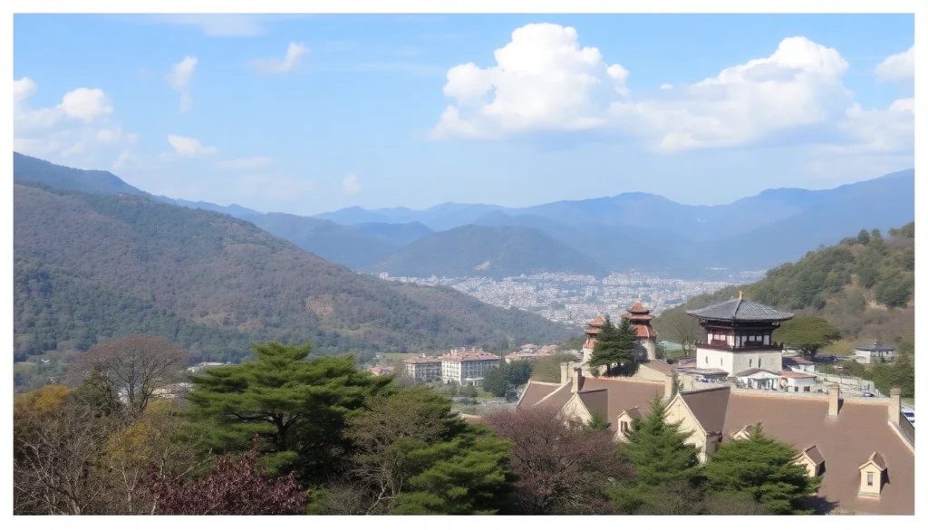 葉酸サプリおすすめのコレクションが並ぶキッチンテーブル、選び方の参考にどうぞ。