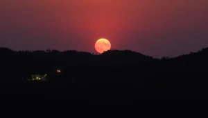 电报账号购买相关的电子烟组合图像，展示多种风味和款式，方便选择。