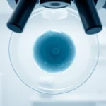 Osservazione della blastocisti in un laboratorio scientifico con dettagli cellulari distintivi.
