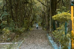Cool Walking Trails Near Me for Calm and Scenic Experiences