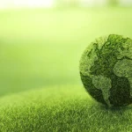 Sustainable Ingredients, Ethical Choices