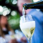 Planning Your Visit to Clarksburg CA Wineries